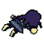 novaragno