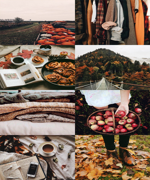 Fall Aesthetic
