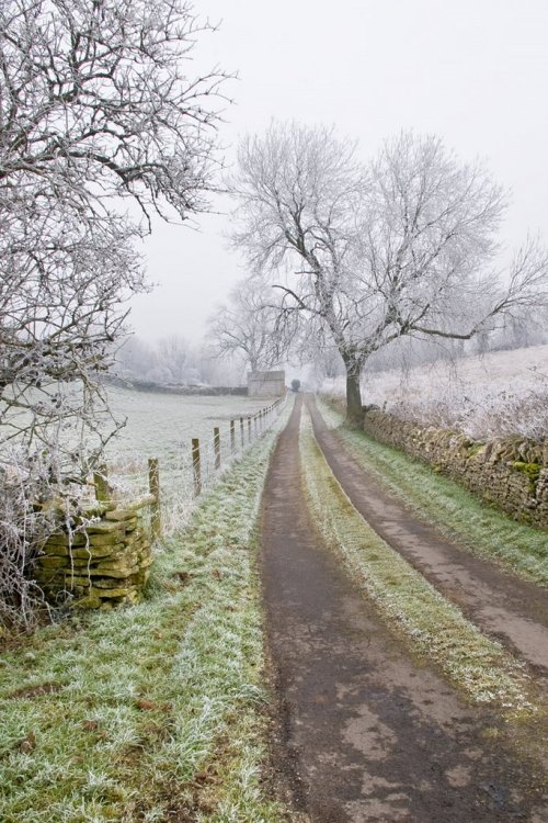 pagewoman:Country Lane, Cotswolds, England by Ianw Stokes