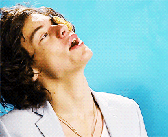  Your face is rude → Harry Styles 