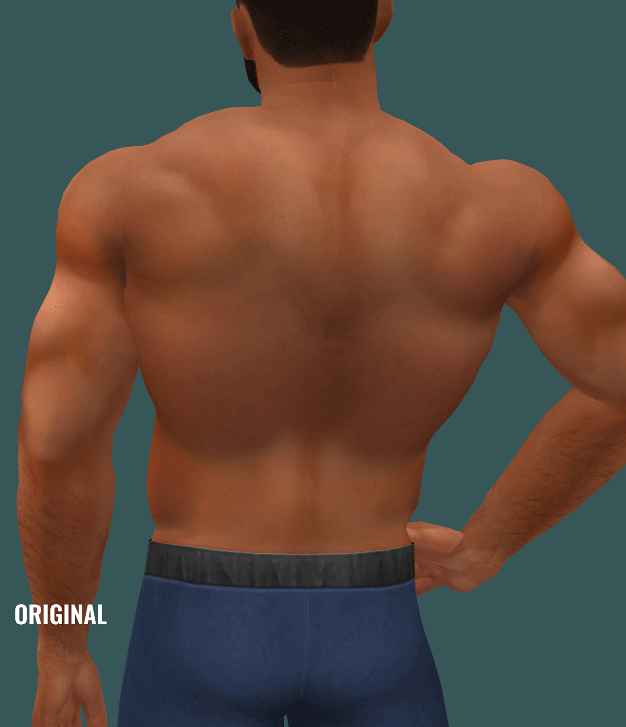 golyhawhaw-i-made-an-adjustment-to-one-of-my-torso-meshes