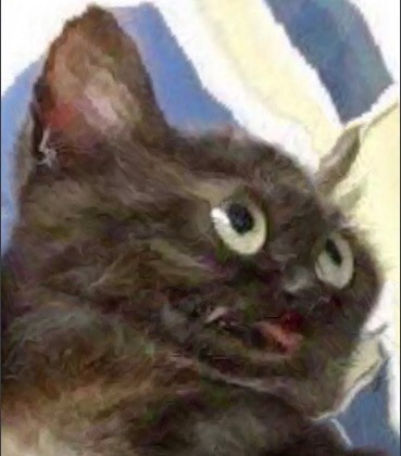 Spej