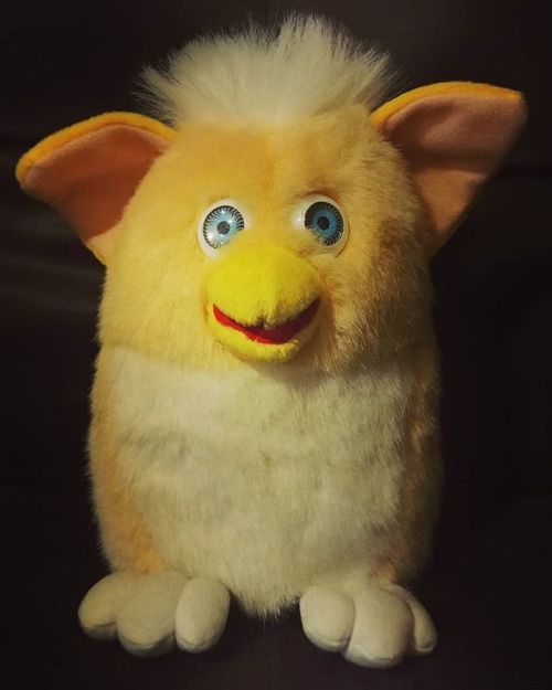 onemillionfurbies: googleimagefinds: image found while on google images © He is safe with me