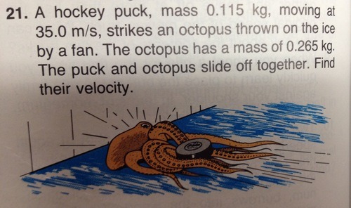 sadhockeytrashbaby:  destroyerofbacon:   what will i ever need to use physics for