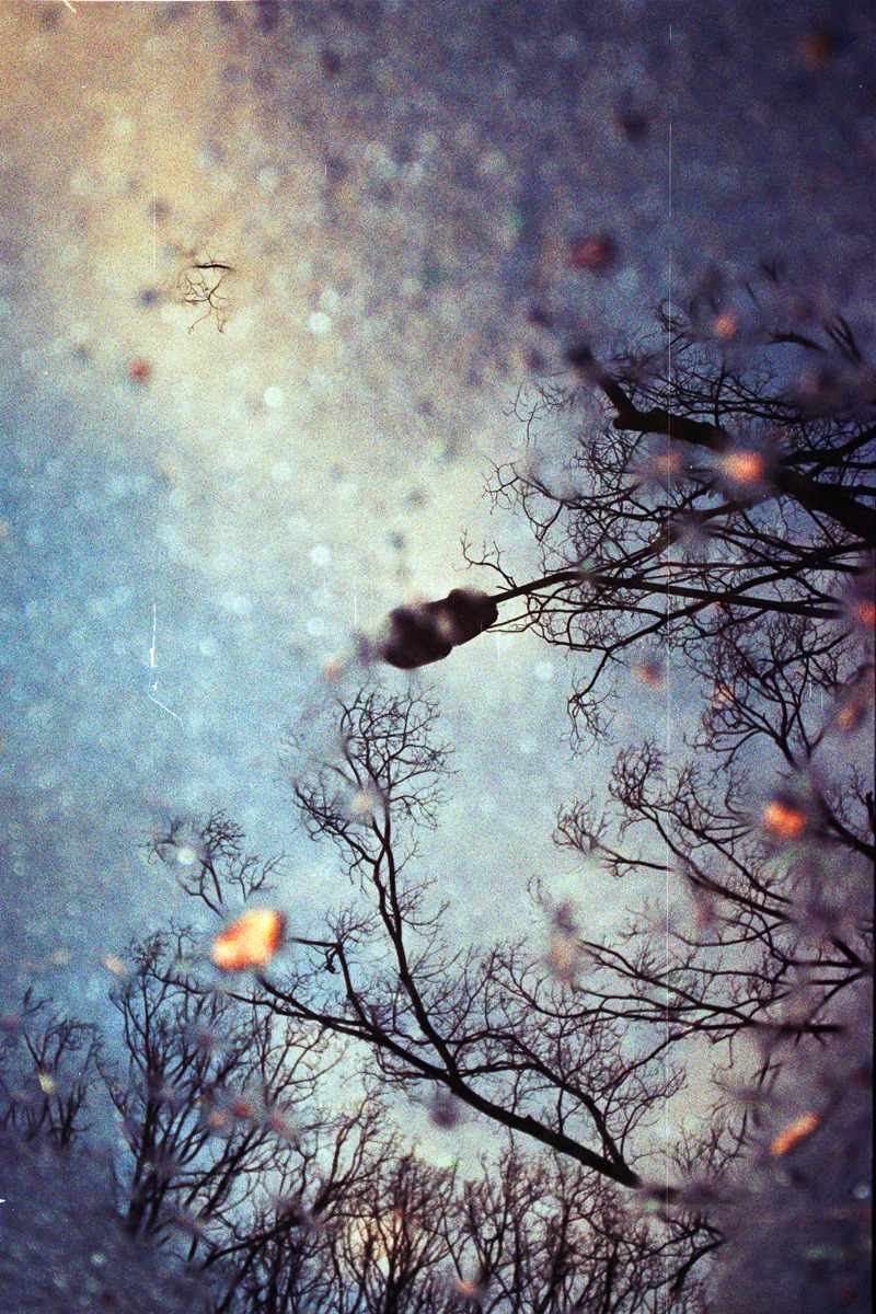 matthewschiavello:  &lsquo;Adventures in Film: Spring puddles&rsquo; (late
