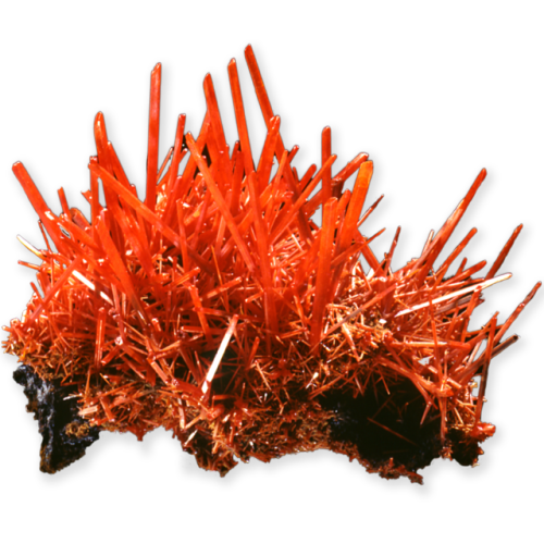 Crikey, it&rsquo;s crocoite!This striking red-orange mineral is known as crocoite. It is a lead chro