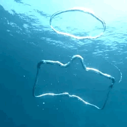 Snorkel - Cat Game