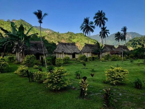 Culture and Ecology of the Fijian Islandsby Miranda Hope SheaWe touched down in Fiji amongst a riot 