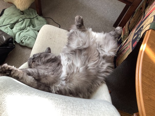 Victor Is Unresponsive