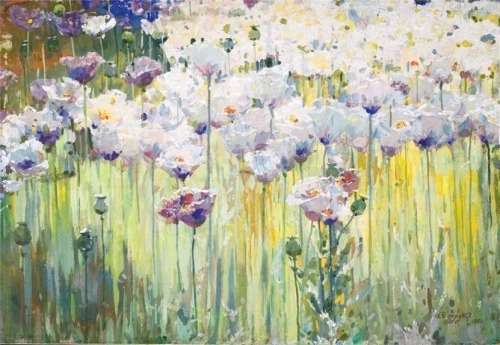 little-miss-melancholy:Papaveraceae