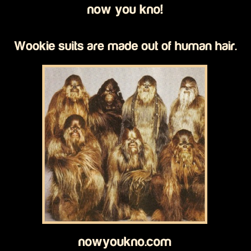 nowyoukno:  Now You Know more  interesting movie facts and trivia! (Source) 