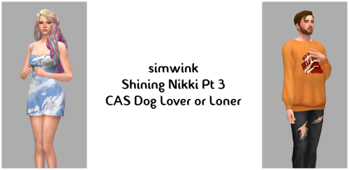 simwinkSFS Folder