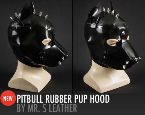 XXX Love the new PittBull hood!!! http://glink.me/Pittbull photo