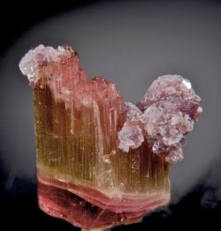 mineralists:  Gem grade Elbaite with dozens of fibrous terminations with beautiful purple Lepidolite from Himalaya Mine, California