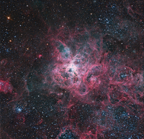 kenobi-wan-obi: NGC2070 by Jason Jennings Discovered by Nicolas Louis de Lacaille in 1751, the Taran