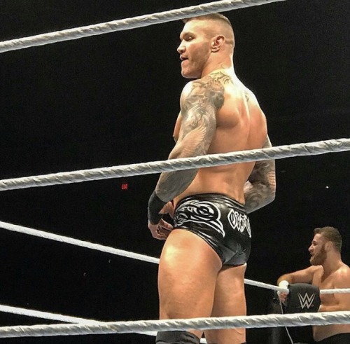 ortons-hooligans: Wwe live 11/20/2017 Bossier city/ Louisiana