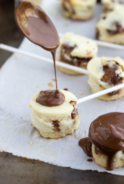 foodishouldnoteat:  Chocolate covered twix cheesecake bites on a stick  