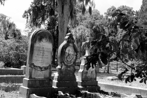 seanjustice:  -Photo by seanjustice Savannah, Ga.