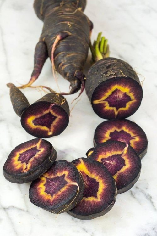 Heirloom Turkish Black carrotBlack Carrot Seeds on Etsy 