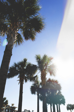 acslaterrr:  california vibes |