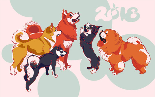Happy Year of the Dog! May these furry mounds of joy bring everyone a healthy and prosperous 2018 &a