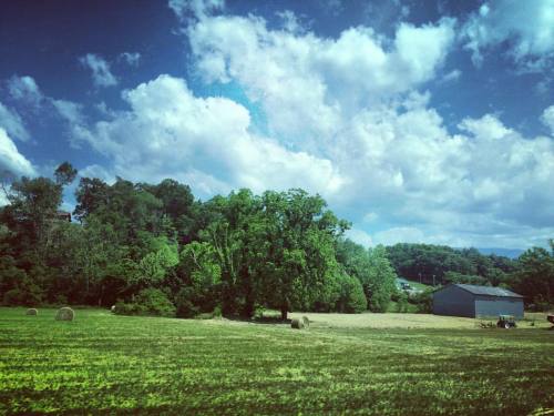 #viewfrommywindow #roadtrip #tennessee #tennesseehoney #grass #nature #clouds #greatsmokymountains #