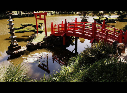 Bridge to the Temple 寺院への橋