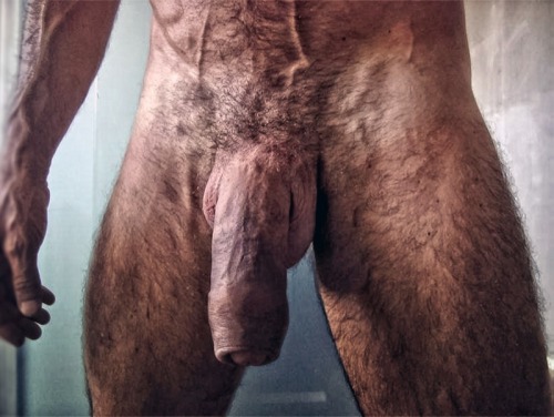 bostonbearpig:  ultracock:  .I.  Yes. It’s true. I LOVE DADDY DICK! (And all other kinds of dick, as well!)