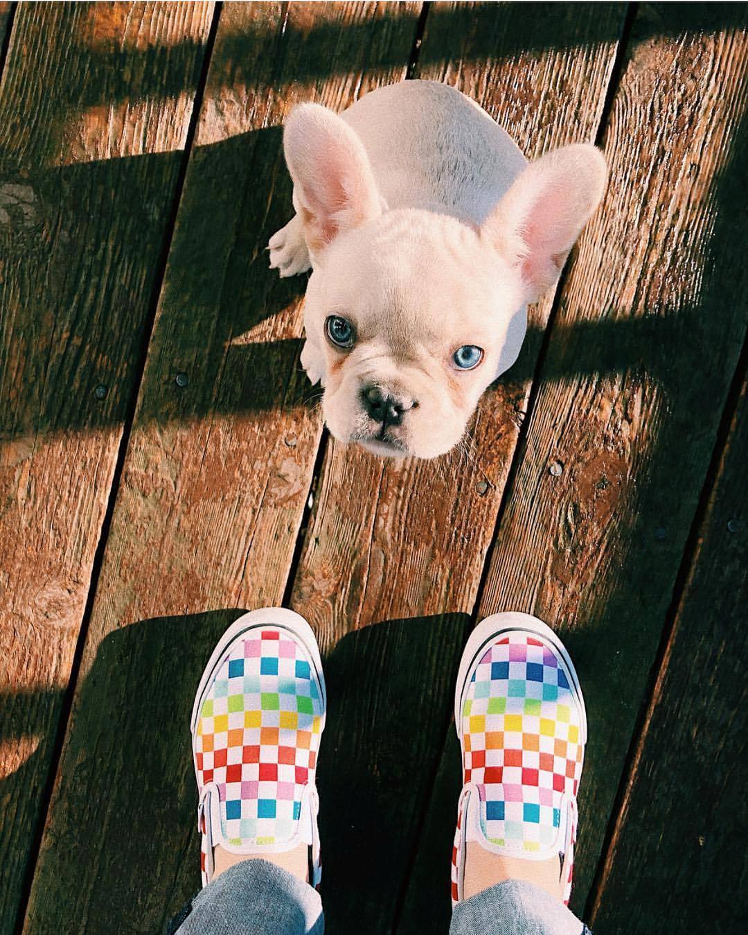 checkerboard slip on rainbow