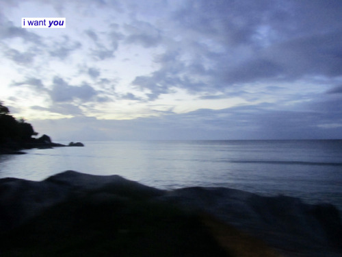 creak:  DREAM BLOG 
