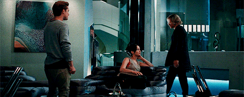 I Realize I Detest H A Y M I T C H. No Wonder The District 12 Tributes Never Stand A Chance. (The Hunger