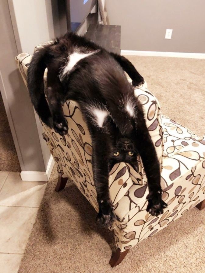 catasters: