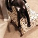 catasters: