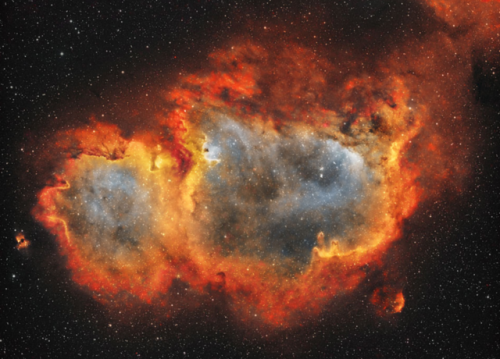 misterlemonzafterlife:  vibrant-exploration-scoobydooooo:FROM :  the-wolf-and-moon  -  Westerhout 5, Soul Nebula https://MisterLemonzAfterlife.tumblr.com/Archive