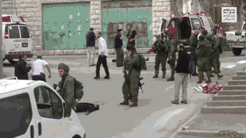 palestinianliberator: So the IDF murderer [I know, it’s redundant to say] Elor