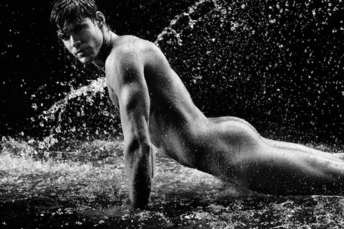 🐧 You Must Be Gay+ To View This Blog*