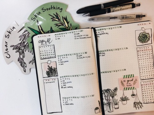 my earth-day spread full of plants :)