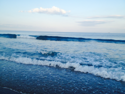 lin-seaa:  Jersey waves; 