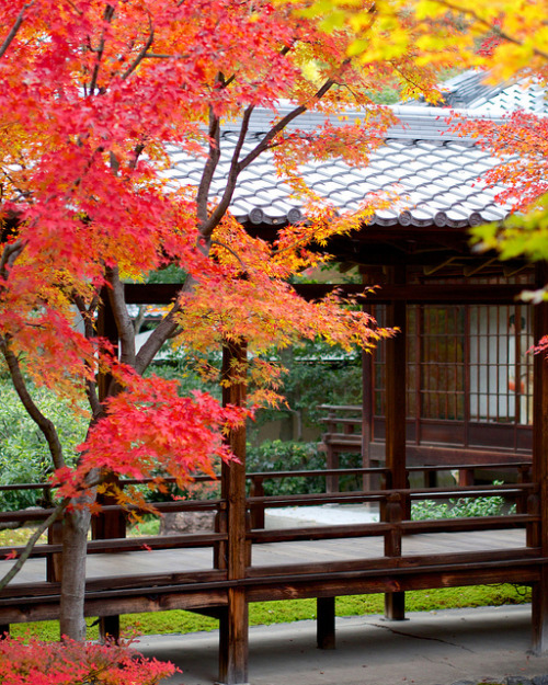 潮音庭 - 建仁寺 ／ Kennin-ji Temple by Active-U on Flickr.