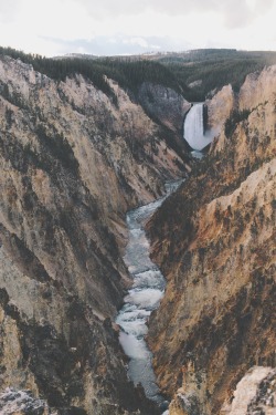 jaymegordon:  Lower Yellowstone Falls II