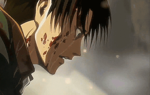 Levi Ackerman X Reader