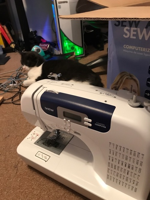 Thank you Emmanuel!!   I’ve had such a shitty month money wise this month, and my sewing machine breaking was just another source of me saying “are you fucking kidding me?” This month.   My old sewing machine lasted me 4 years, more