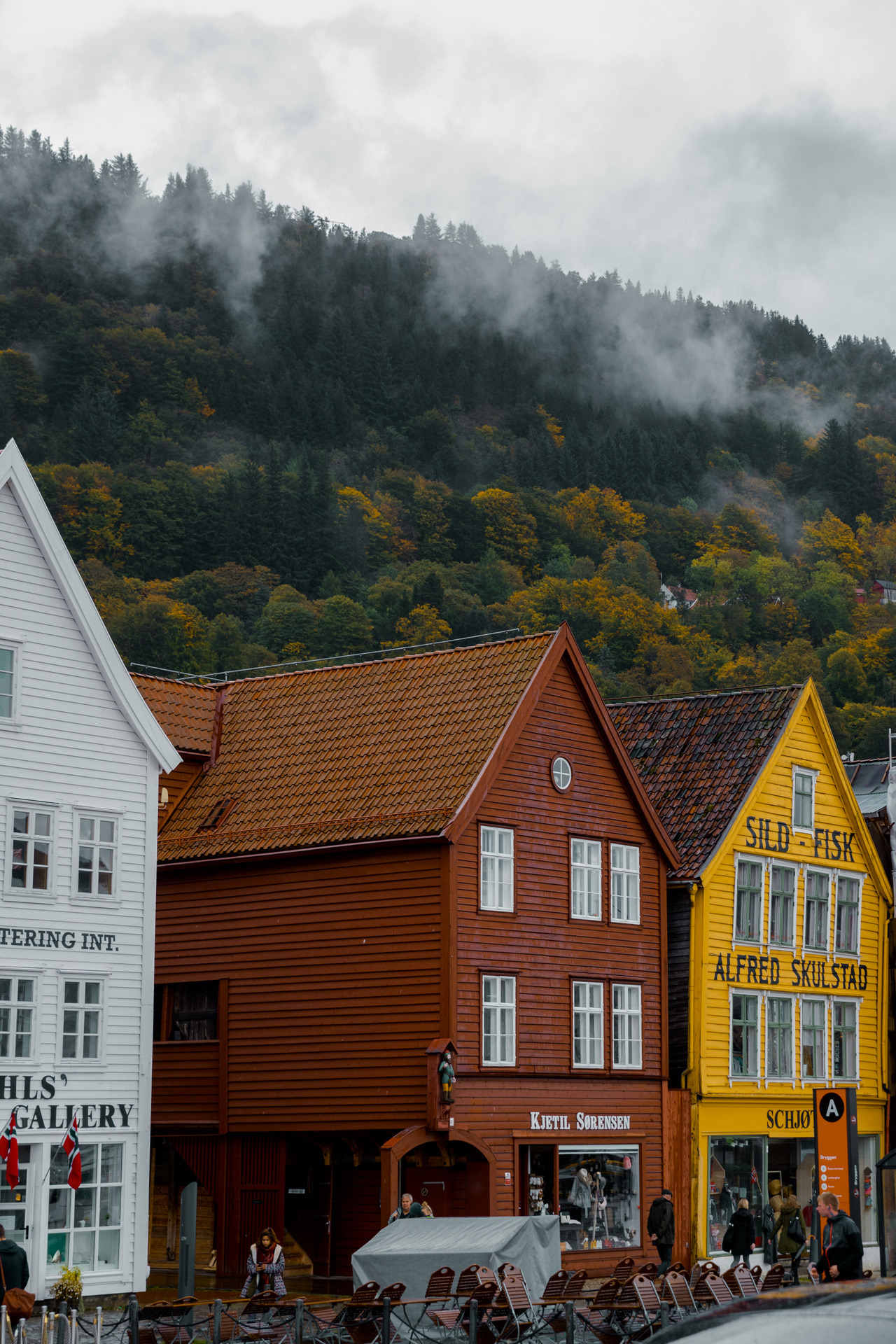 samhorine:  bergen - the rain capital of europe - september 2018