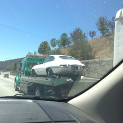 Saw an Jaguar E-type today