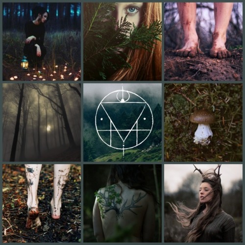 ivyywitchery:Earth Witch Aesthetic. Made by @ivyywitchery .Sigil by @borboranoir.Please reblog only 
