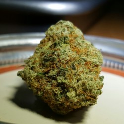 indica-lungs:   Platinum White at 31% THC,