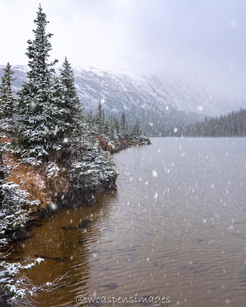 oneshotolive:  Lake Mitchell, Indian Peaks Wilderness, Colorado, US [OC] [5187x6484] 📷: twoaspensimages 