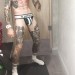 scallyboy:
