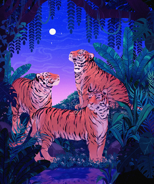 pinktofuart:   Tigers ! 🐯   🌿   