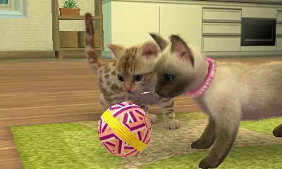 arrowsforpumpkins:I used Nintendogs to adopt two kittens and named them Kirjava (the spotted tabby) 